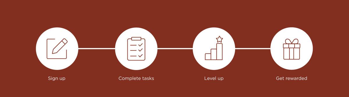 Ambassador Program Process